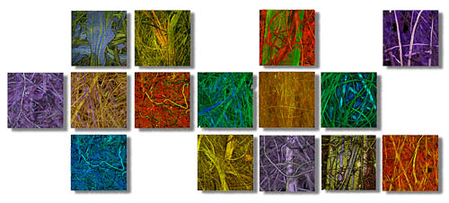 Array of confocal images of paper